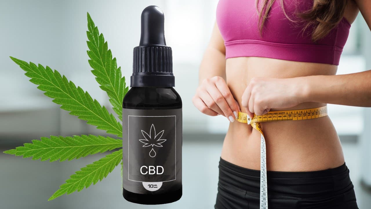 Le CBD aide t-il à perdre du poids ?